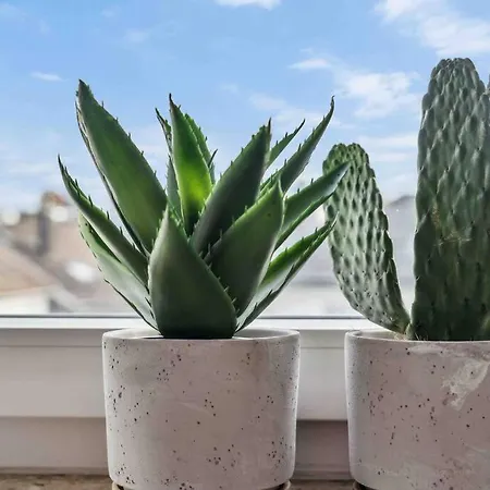 Stylischer Wohntraum Ronsdorf Naehe Dus & Dortmund & Koeln & Essen Apartment