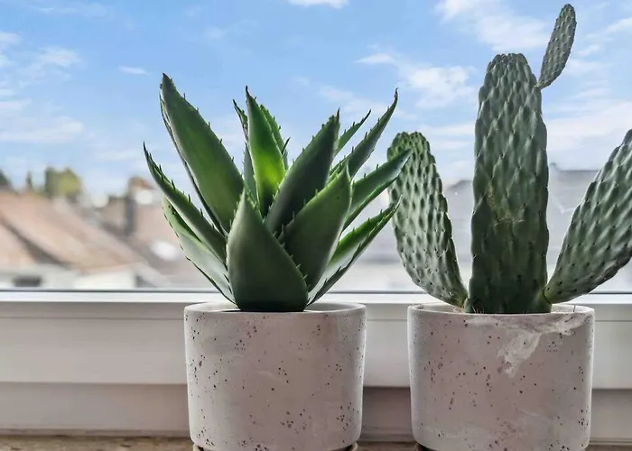 Stylischer Wohntraum Ronsdorf Naehe Dus & Dortmund & Koeln & Essen Apartment